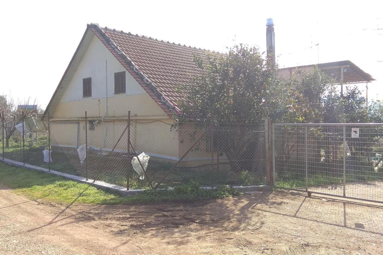 Mallios Country house near Olimpia Exterior foto